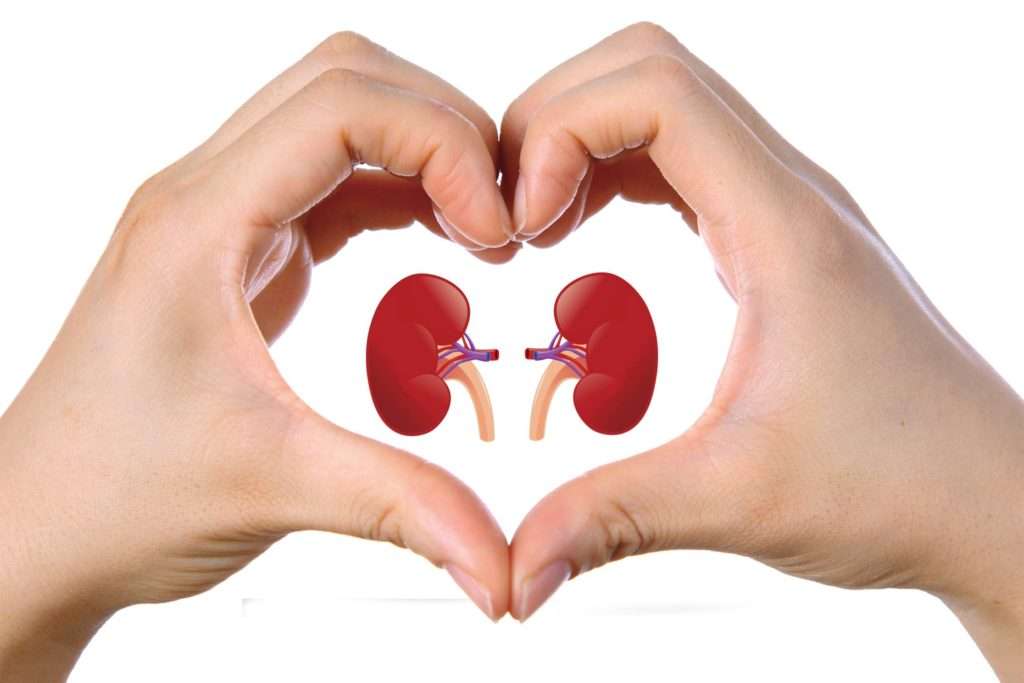 5 tips to keep kidneys healthy