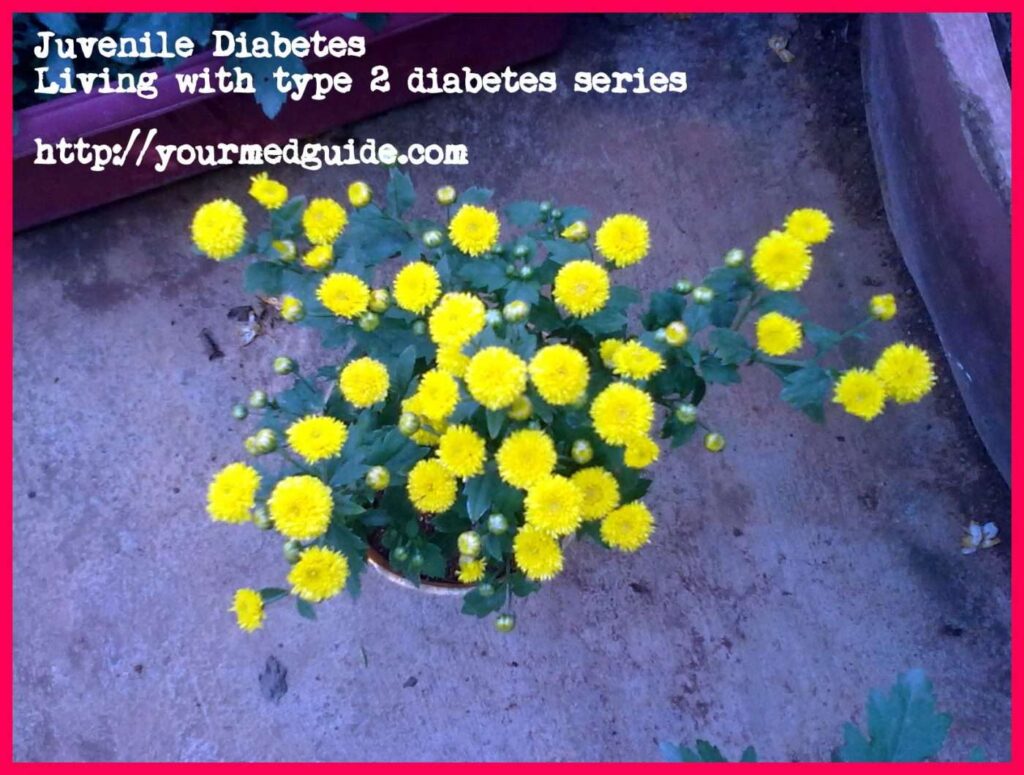 Juvenile diabetes vidya sury