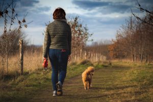 Walking is the best exercise for women ever 50 woman, dog, path, walk, dog walk, winter, pet, animal, outdoors, surrey, england, epsom, nature, field, grass, cavapoo, cavapoochon