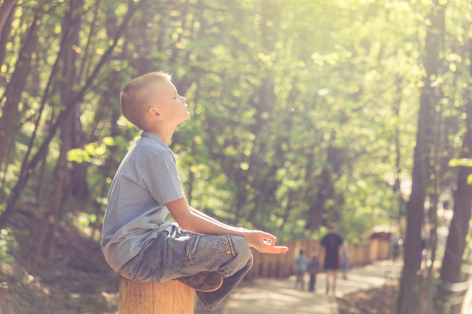 Vitamin D deficiency in fall and winter man in blue t-shirt and brown pants sitting on brown wooden seat during daytime