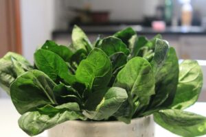 Vitamin K sources green leafy vegetables a close up of a potted plant on a table